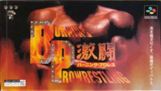 Capa de Gekitou Burning Pro Wres