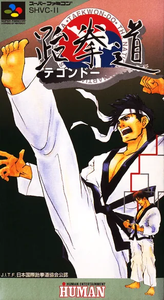 Capa de Taekwon-Do (Japão)