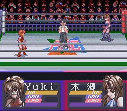 Bishoujo Wrestler Retsuden - Blizzard Yuki Rannyuu!!: gameplay