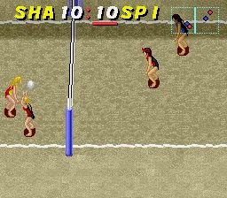 Dig & Spike Volleyball: gameplay