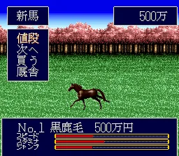 Jumpin' Derby: gameplay