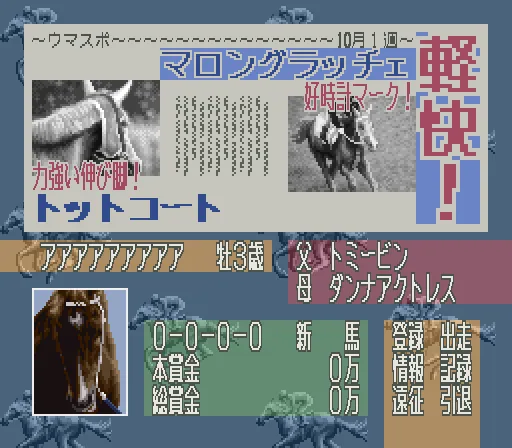 Leading Jockey: gameplay