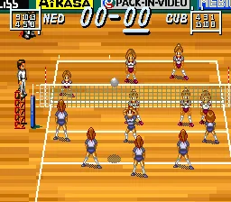 Multi Play Volleyball: gameplay