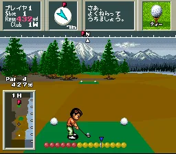 Nice de Shot: gameplay