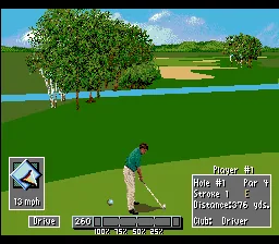 PGA Tour 96: gameplay