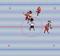 Pro Sport Hockey: gameplay