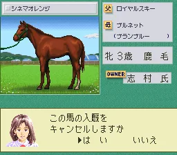 Stable Star - Kyuusha Monogatari: gameplay