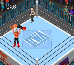 Super Fire Pro Wrestling: gameplay