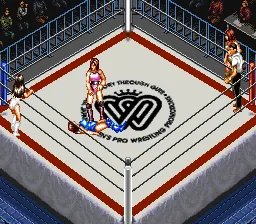 Super Fire Pro Wrestling - Queen's Special: gameplay