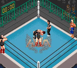 Super Fire Pro Wrestling Special: gameplay