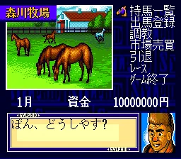 Super Kyousouba - Kaze no Sylphid: gameplay
