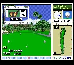 True Golf Classics - Waialae Country Club: gameplay