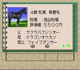 Winning Post 2 - Program '96: gameplay