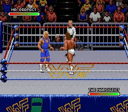WWF Royal Rumble: gameplay