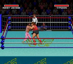 WWF Super WrestleMania: gameplay