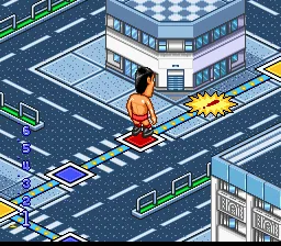 Zen-Nihon Pro Wres - Fight da Pon!: gameplay